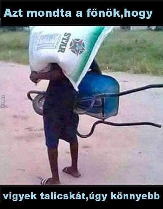 20201031_200201842_iOS